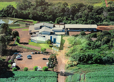 Timeline Frigorifico 2018